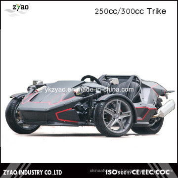 Новый трехколесный трехколесный дрифт с трехколесным велосипедом Roadster Trike 250cc EEC